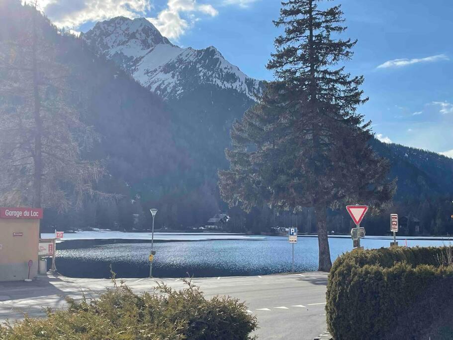 Charmant 2,5 Pieces Avec Jardin A 2 Pas Du Lac Champex-Lac Kültér fotó